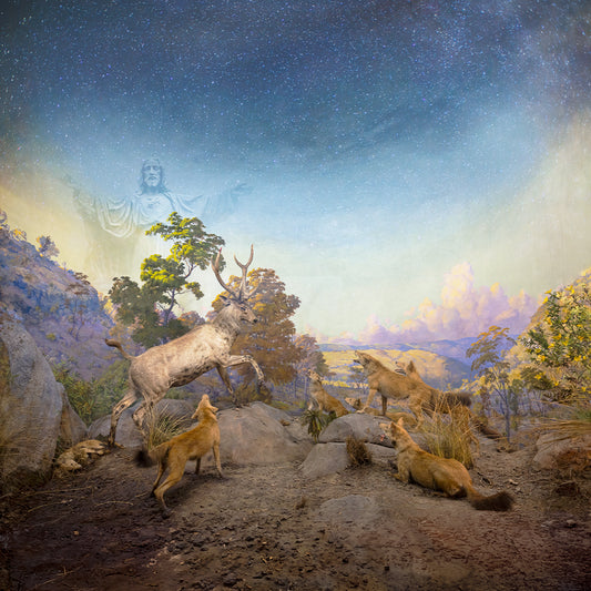Forces Of Nature