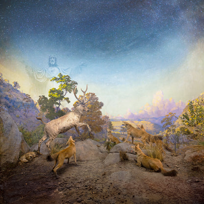 Forces Of Nature